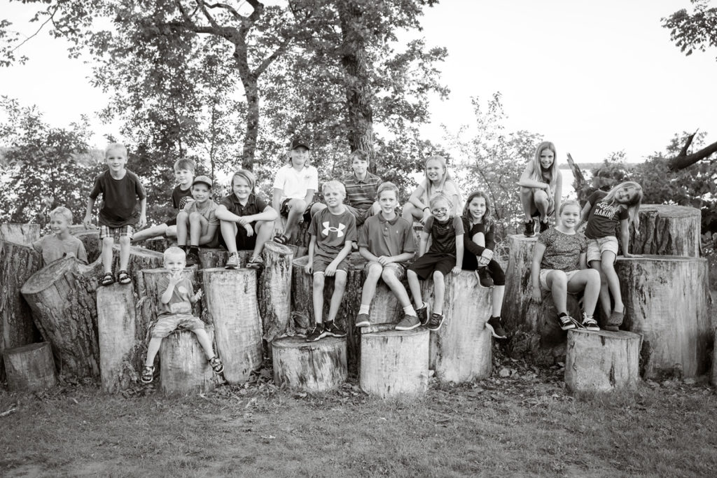 kids sitting on stumps